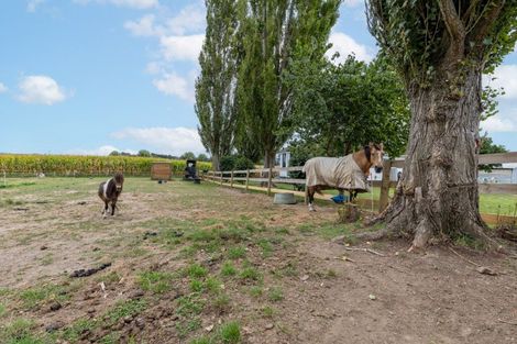 Photo of property in 395 Kiwitahi Railway Road, Morrinsville, 3371