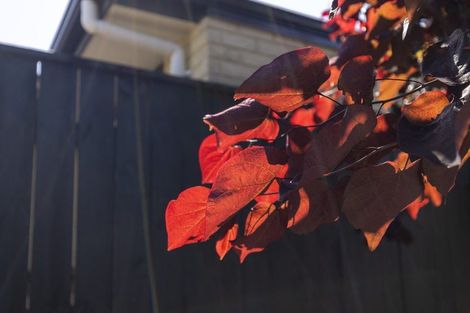 Photo of property in 7 Manhattan Court, Paraparaumu Beach, Paraparaumu, 5032