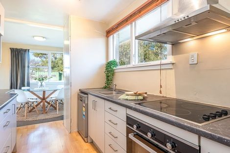 Photo of property in 58 Bordesley Street, Phillipstown, Christchurch, 8011