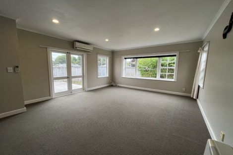 Photo of property in 411a Featherston Street, Palmerston North, 4414