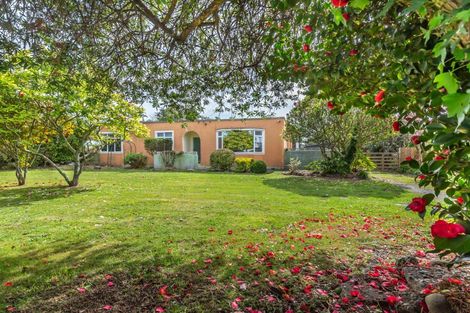 Photo of property in 22 Mckenzie Street, Levin, 5510
