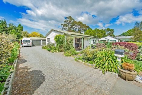 Photo of property in 8 Saint James Street, Southbridge, 7602