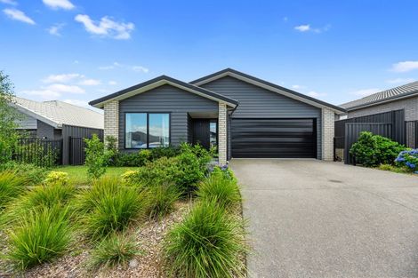 Photo of property in 16 Pioneer Crescent, Omokoroa, 3114
