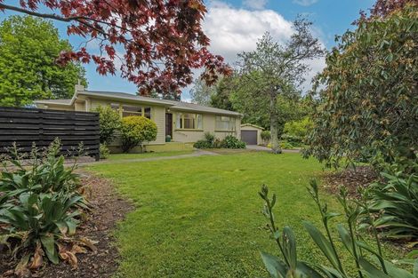 Photo of property in 484 College Street, Hokowhitu, Palmerston North, 4410