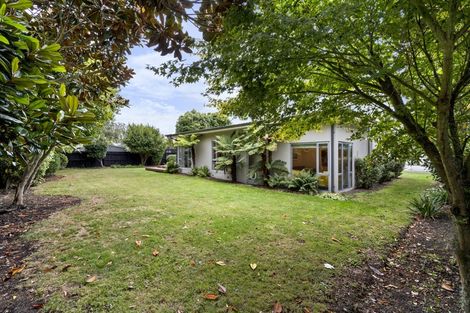 Photo of property in 53 Windermere Road, Papanui, Christchurch, 8053