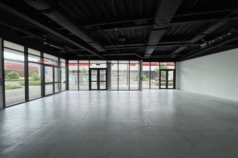 Photo of property in 1 Gallipoli Place, Flat Bush, Auckland, 2019