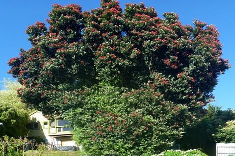 Photo of property in 175 Hackthorne Road, Cashmere, Christchurch, 8022