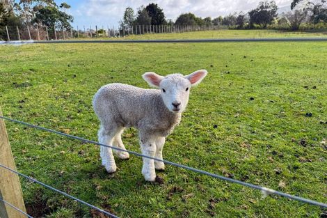 Photo of property in 76 Parenga Road, Hautere, Otaki, 5582