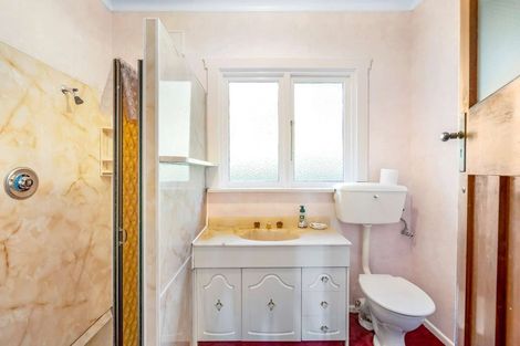 Photo of property in 437 South Road, Calton Hill, Dunedin, 9012