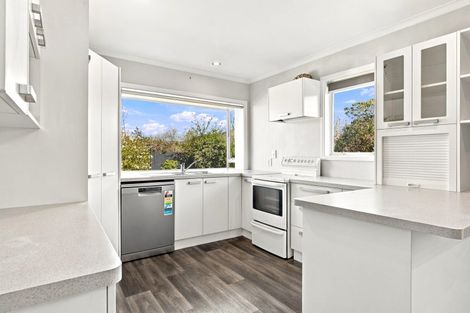 Photo of property in 19 Kinnaird Place, Hillmorton, Christchurch, 8025