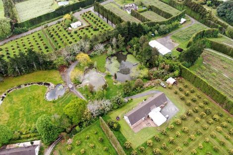 Photo of property in 117 Rea Road, Tahawai, Katikati, 3178