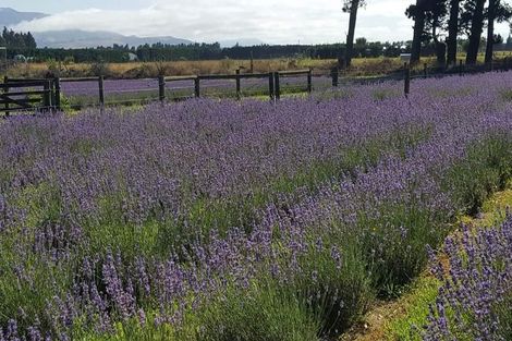 Photo of property in 672 Depot Road, Burnt Hill, Oxford, 7495