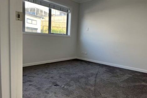 Photo of property in 119 Argento Avenue, Flat Bush, Auckland, 2019