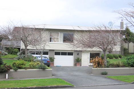 Photo of property in 38 Winston Avenue, Hokowhitu, Palmerston North, 4410