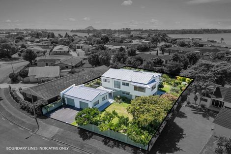 Photo of property in 49 Te Hono Street, Maungatapu, Tauranga, 3112
