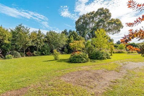 Photo of property in 126 Colombo Road, Masterton, 5810