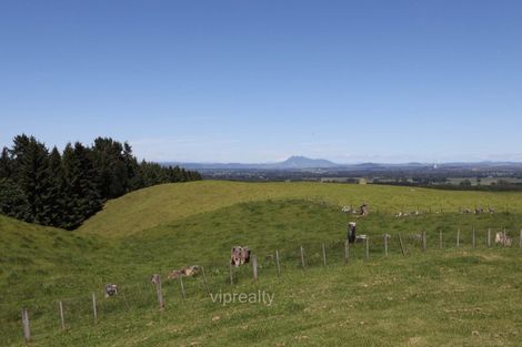 Photo of property in 254 Rawhiti Road, Reporoa, 3081