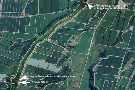 Photo of property in 308 Brown Road, Te Puke, 3188