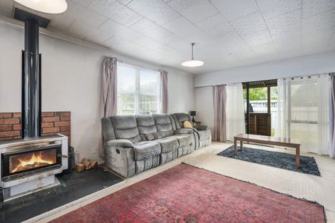 Photo of property in 66 Puataata Road, Turangi, 3334