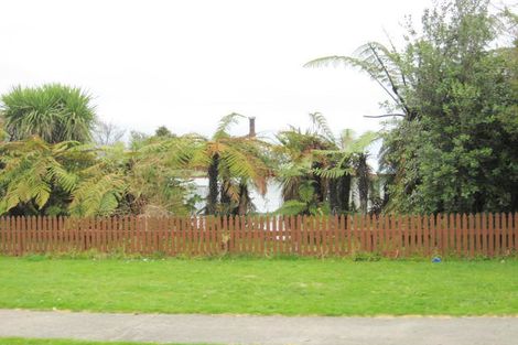 Photo of property in 7 Graham Street, Levin, 5510