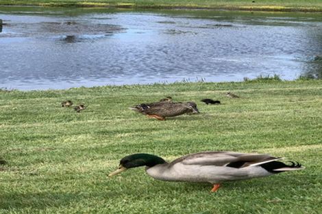 Photo of property in 8 Higgins Street, Marewa, Napier, 4110