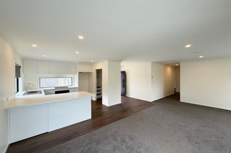 Photo of property in 19a Wellington Street, Feilding, 4702
