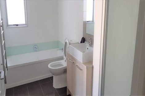 Photo of property in 17 Lane Cameron Place, Flat Bush, Auckland, 2019