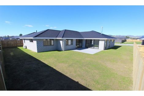 Photo of property in 8 Mustang Alley, Burleigh, Blenheim, 7201