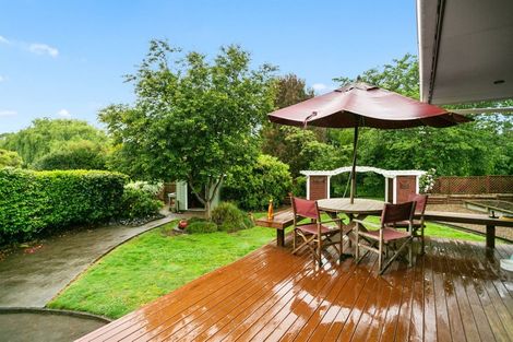 Photo of property in 48 Stirling Drive, Morrinsville, 3300