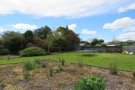 Photo of property in 36 Albert Street, Winton, 9720