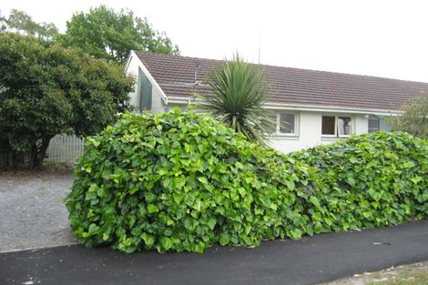 Photo of property in 1/81 Briggs Road, Shirley, Christchurch, 8052