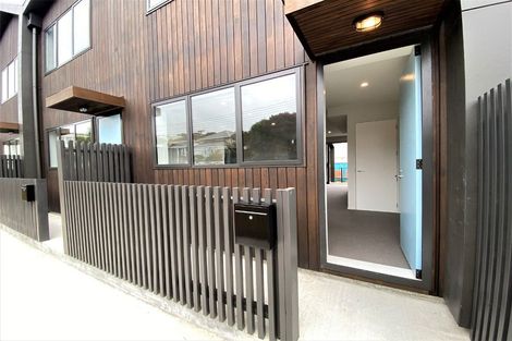 Photo of property in Aniva Terrace, 32 Ferguson Street, Newtown, Wellington, 6021