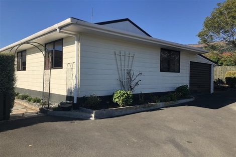 Photo of property in 19 Rochfort Drive, Richmond, 7020