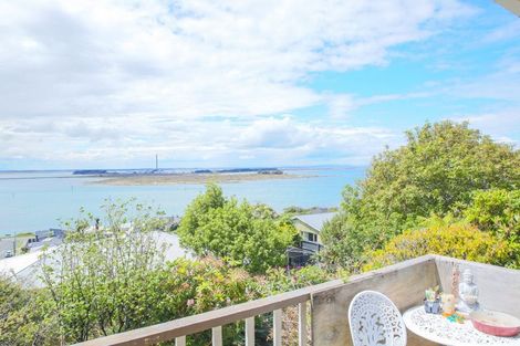 Photo of property in 46 Walker Street, Bluff, 9814