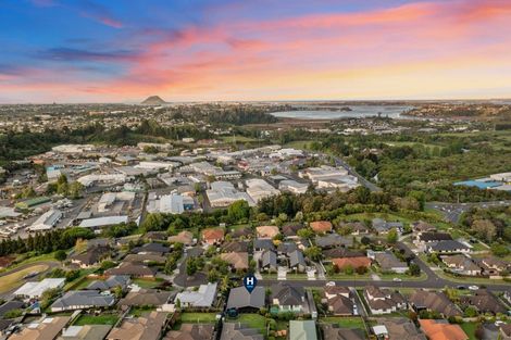 Photo of property in 19 Merlot Drive, Pyes Pa, Tauranga, 3112
