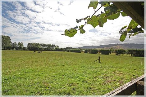 Photo of property in 1071 Queen Street East, Levin, 5510