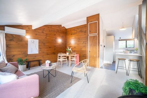 Photo of property in 66a Limbrick Street, Terrace End, Palmerston North, 4410