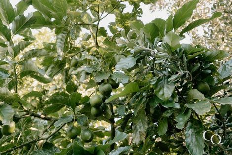 Photo of property in 409 Kotuku Street, Camberley, Hastings, 4120