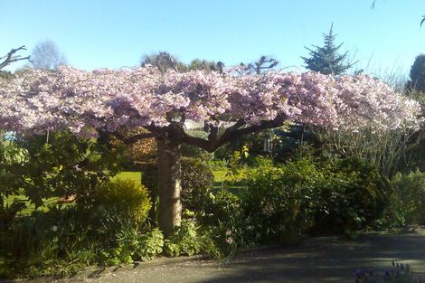 Photo of property in 16a Balmoral Street, Oamaru North, Oamaru, 9400