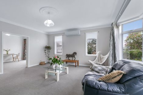 Photo of property in 22 Mckenzie Street, Levin, 5510