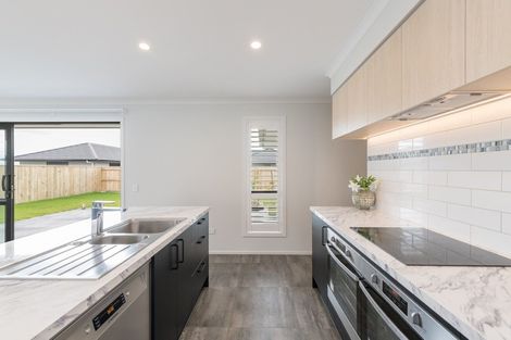 Photo of property in 60 Berryfield Drive, Richmond, 7020