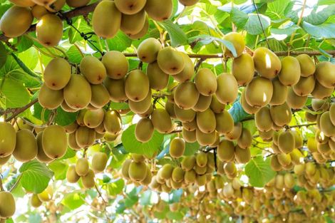 Photo of property in 121 Macdonald Road, Te Teko, Whakatane, 3192