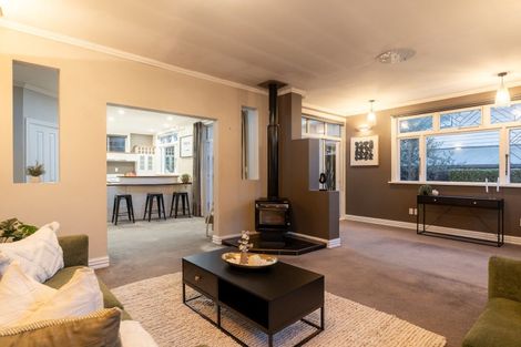 Photo of property in 1 Harcourt Street, Belleknowes, Dunedin, 9011