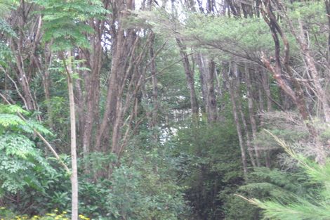 Photo of property in 8 Waerenga Place, Titirangi, Auckland, 0604