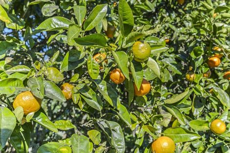 Photo of property in 10b Hickford Place, Okato, 4335