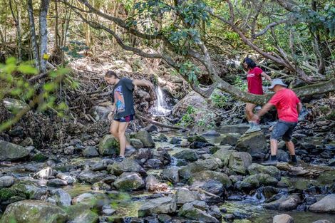 Photo of property in 242 Little Akaloa Road, Little Akaloa, Akaroa, 7583