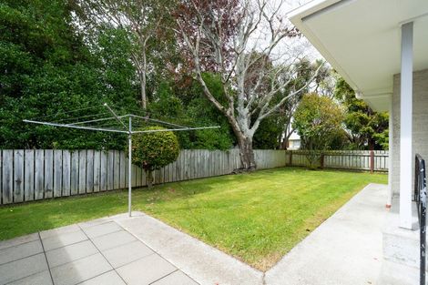 Photo of property in 76 Winchester Street, Levin, 5510