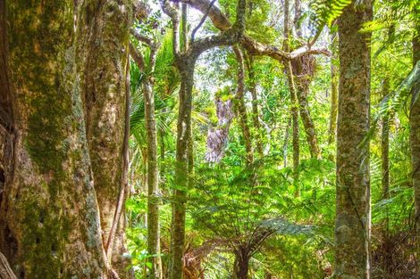 Photo of property in 1288 Manaia Road, Manaia, Coromandel, 3581