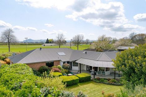 Photo of property in 51 Taylor Street, Cambridge, 3434