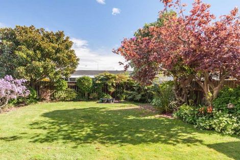 Photo of property in 20 Byrd Street, Levin, 5510